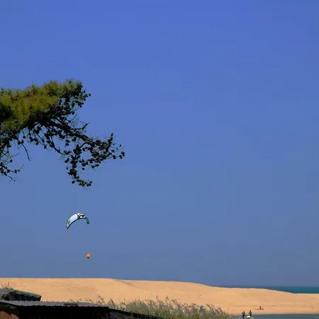 By Woods & Beach Villa *